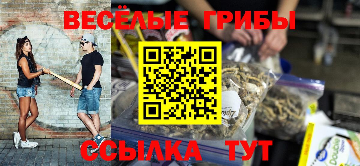 Сургут  Галлюциногенные грибы Cubensis  Вход с VPN  Псилоцибиновые грибы прущие грибы 