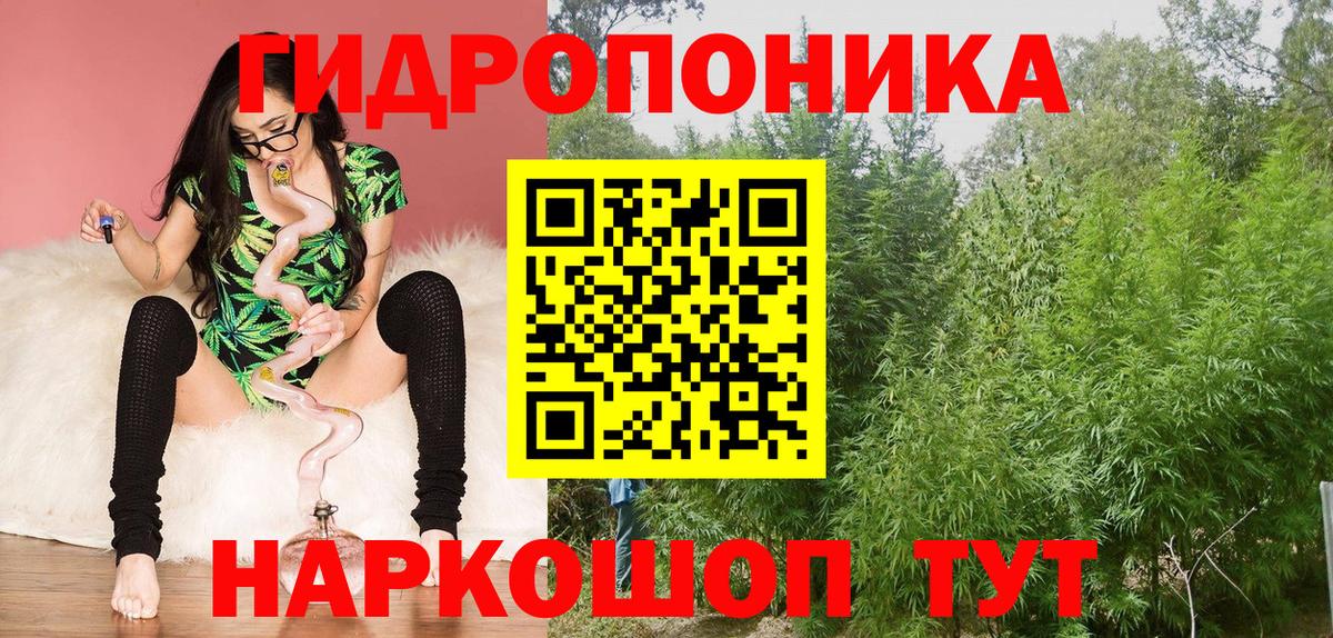 Шишки марихуана семена Сургут
